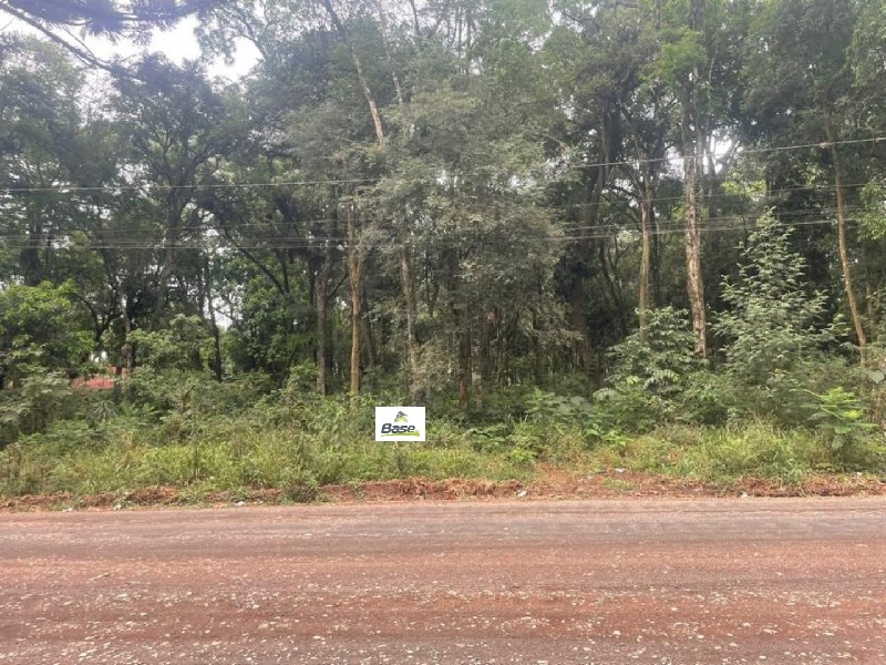 Terreno