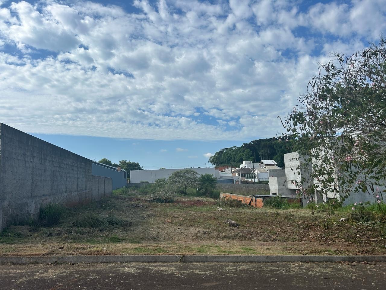 Terreno