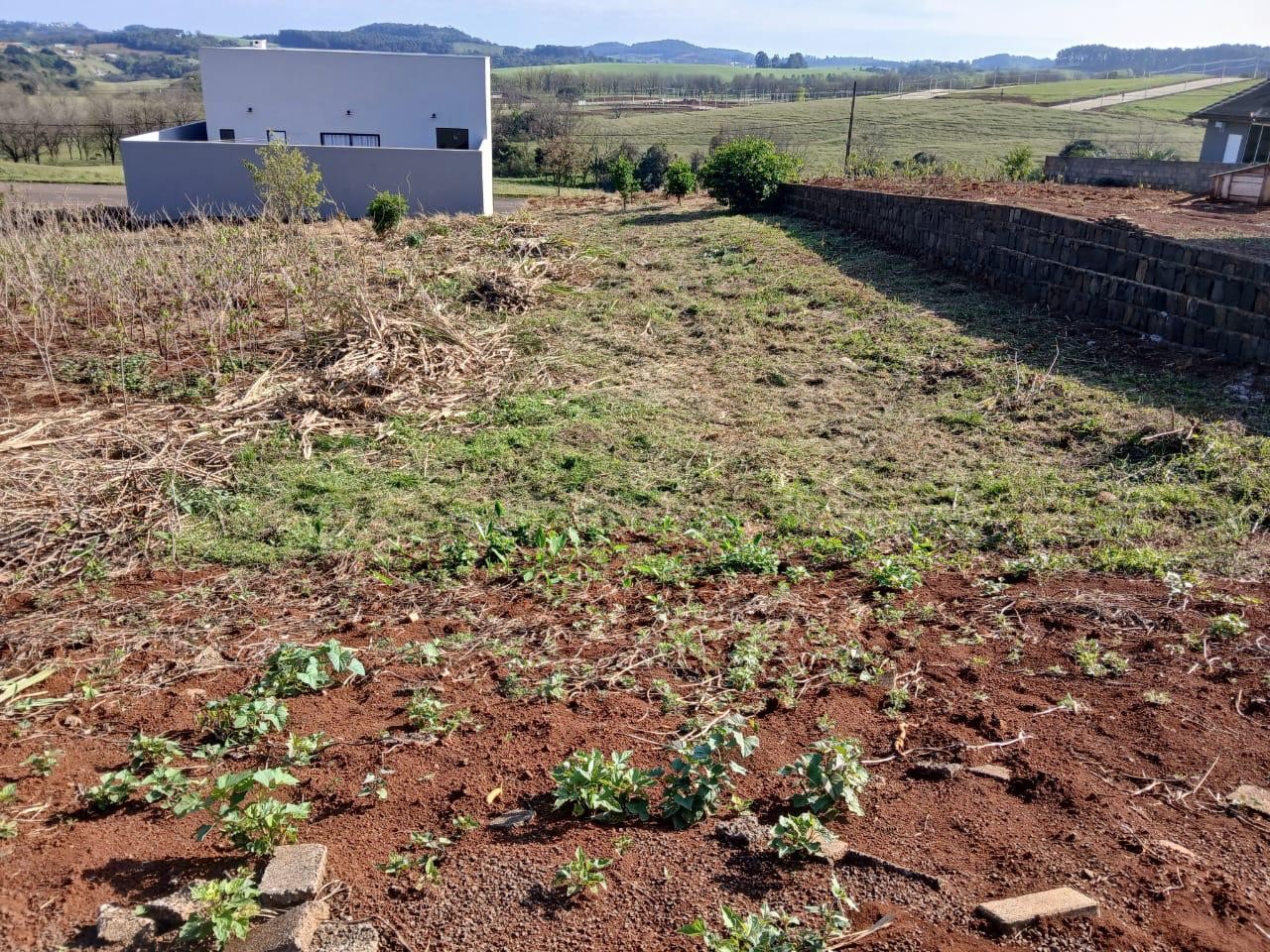 Terreno