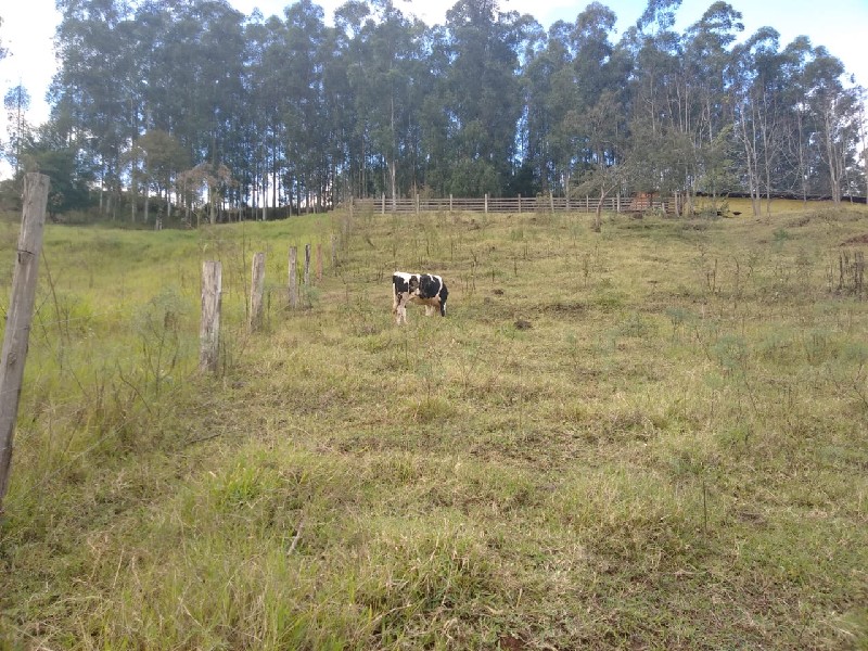 Chácara