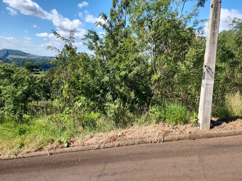 Terreno