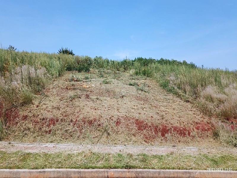 Terreno
