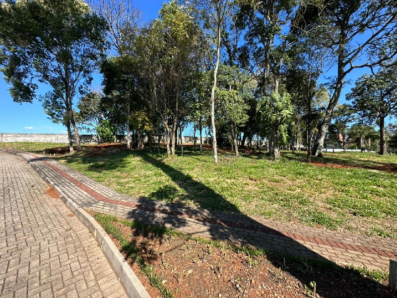Terreno