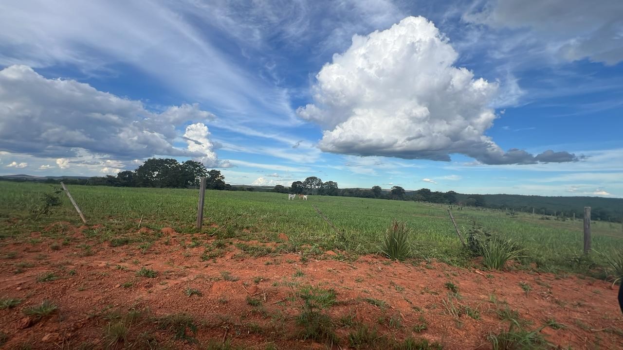 rea De Terra