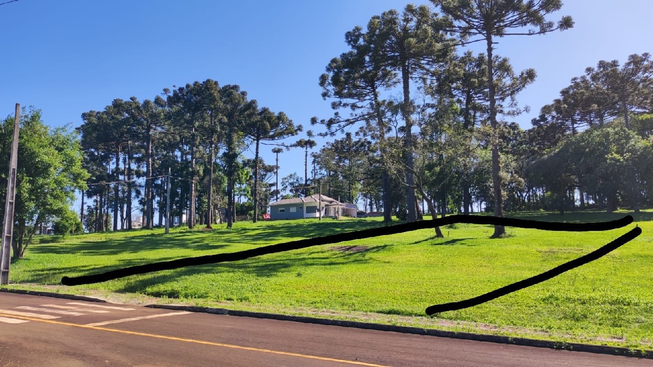 Terreno
