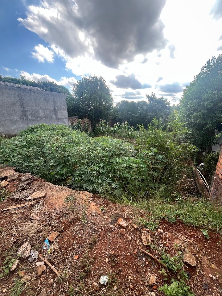 Terreno