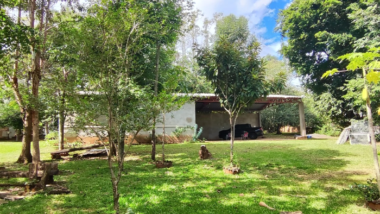 rea De Terra