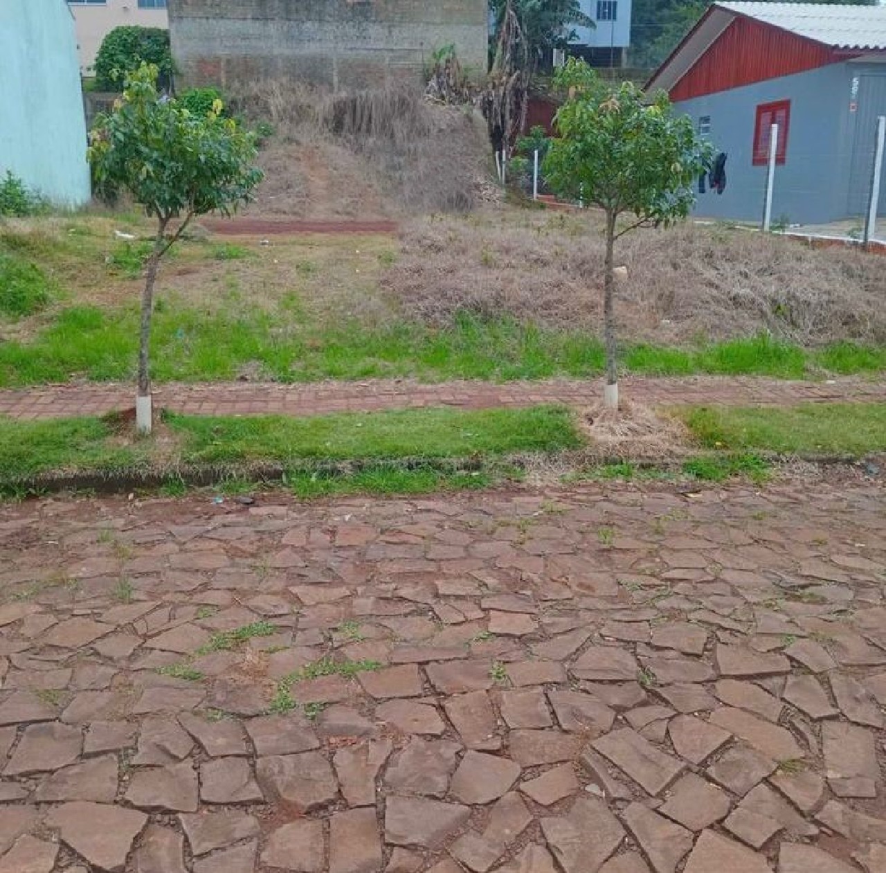 Terreno