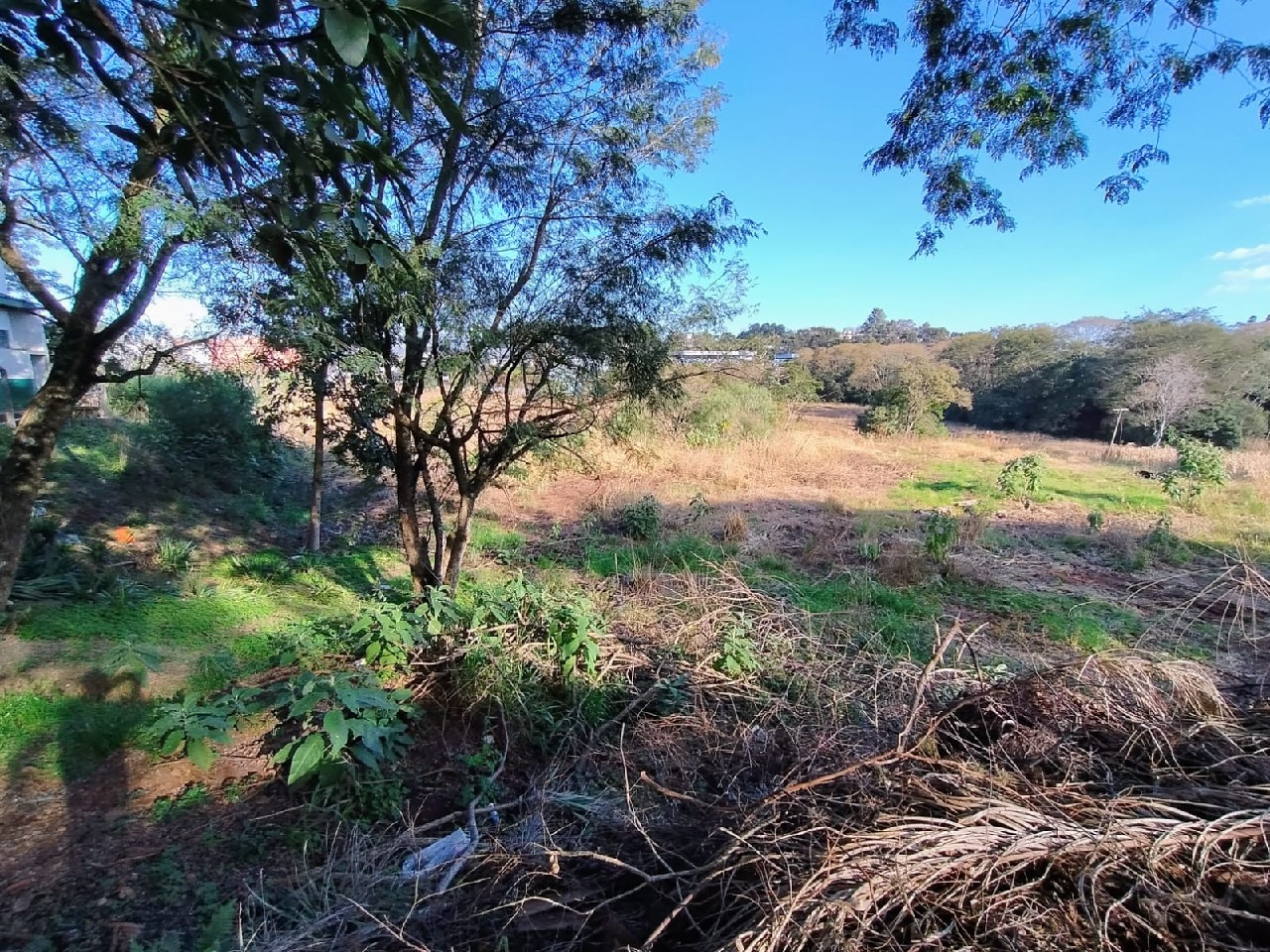 Terreno